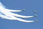 Saudi Hawks